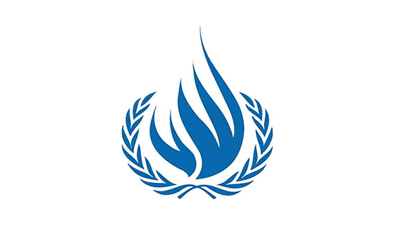 12. ՄԱԿ-ի մրցանակը՝ մարդու իրավունքների բնագավառում  